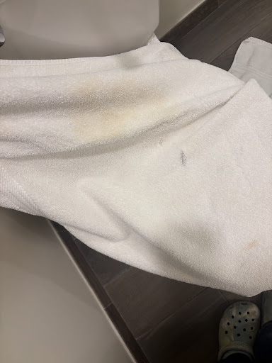 Photo from customer review