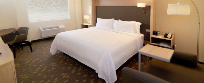 Holiday Inn – Suite con cama king y área de descanso