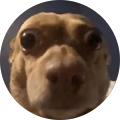 Alexis Fierro profile picture