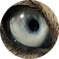Ga Mg profile picture