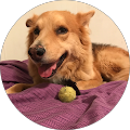Diego profile picture