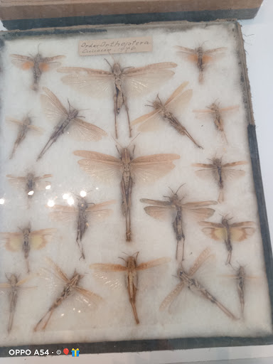 Photo from customer review